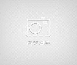 testo205-pH酸堿度/溫度測量儀，適用于半固體